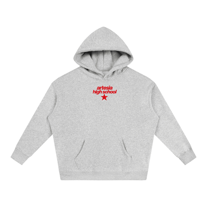 Big Star Artesia Oversize Fleeced Hoodie