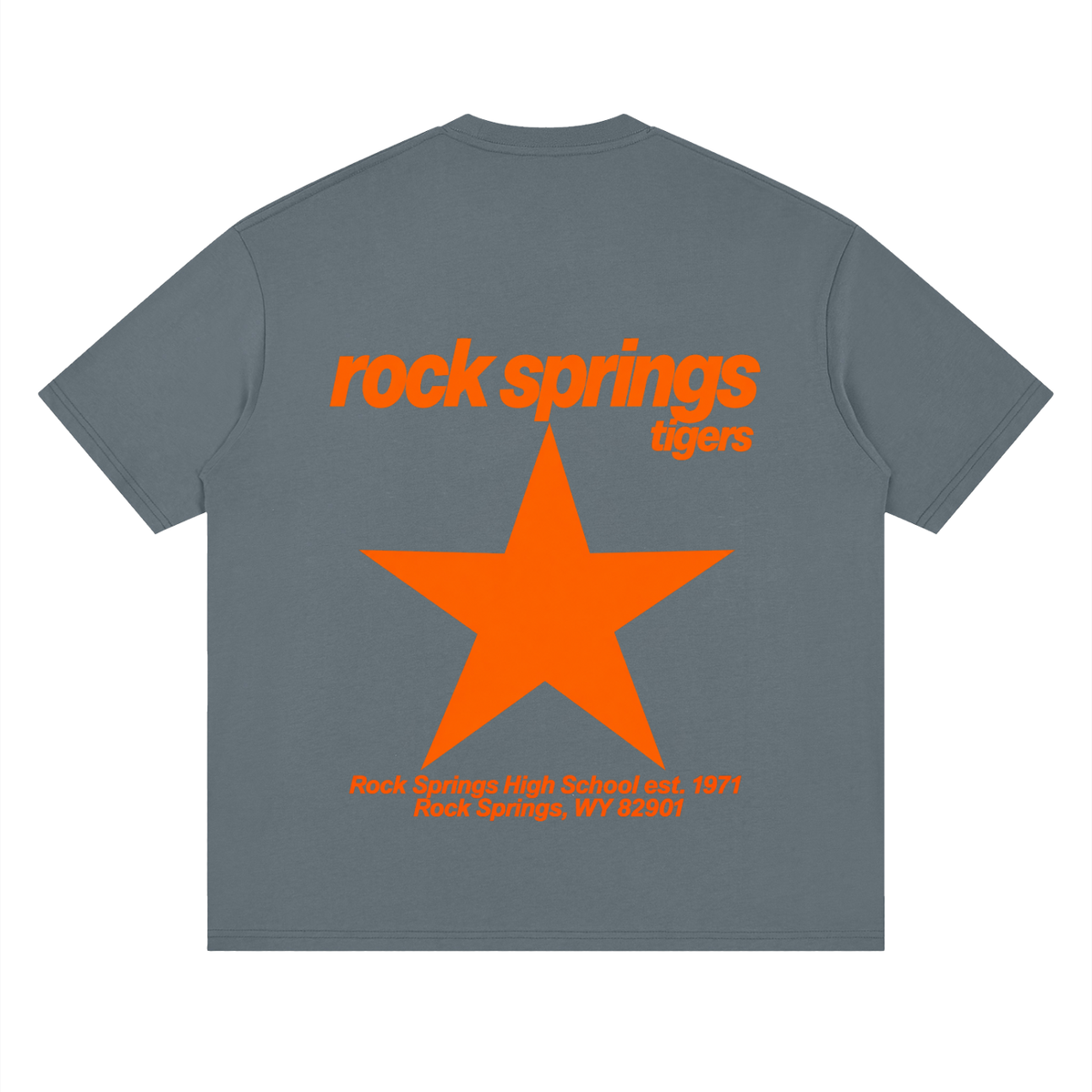 Big Star Rock Springs Oversized Drop Shoulder T-Shirt