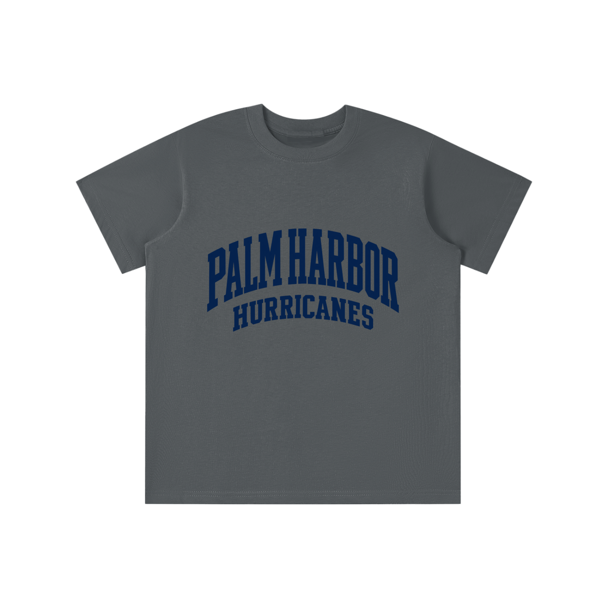 Basic 2 Palm Harbor Essential Kids' T-shirt