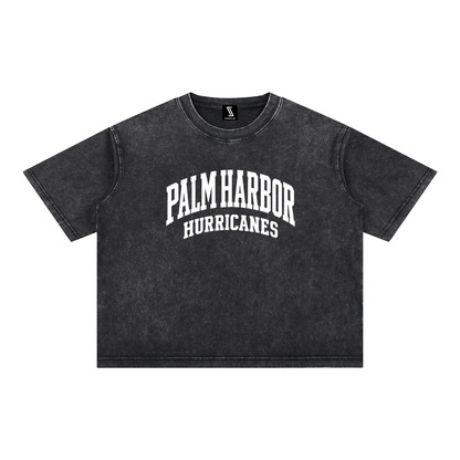 Basic 2 White Palm Harbor Mineral Wash Boxy Cotton T-Shirt