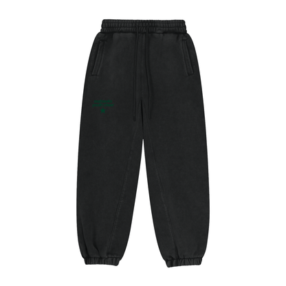 Big Star Front Seahawks Fleeced Jogger Sweatpants