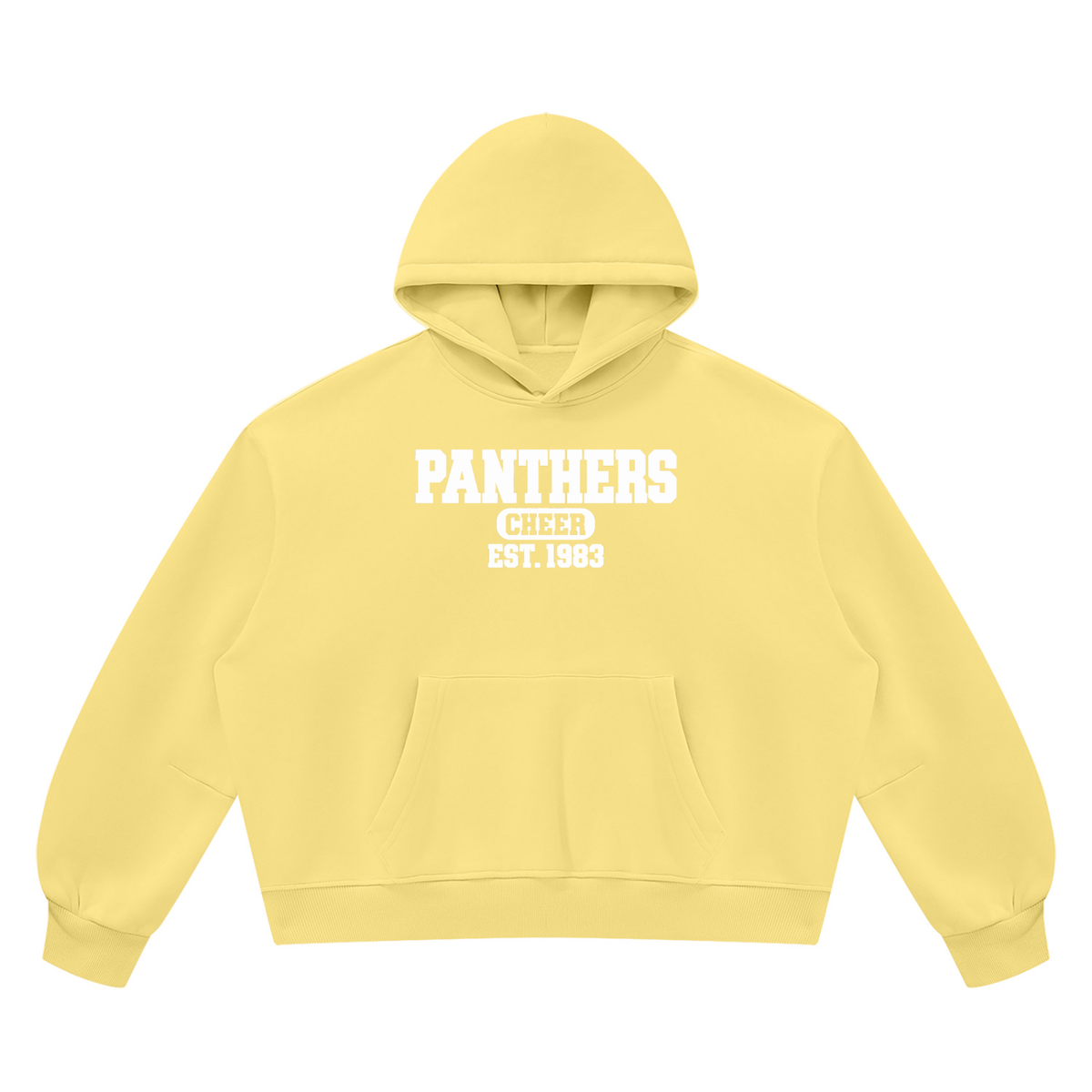 Fenway Unisex Vintage Wash Boxy Fleece Hoodie