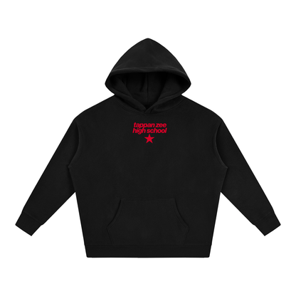 Big Star Tappan Zee Oversize Fleeced Hoodie