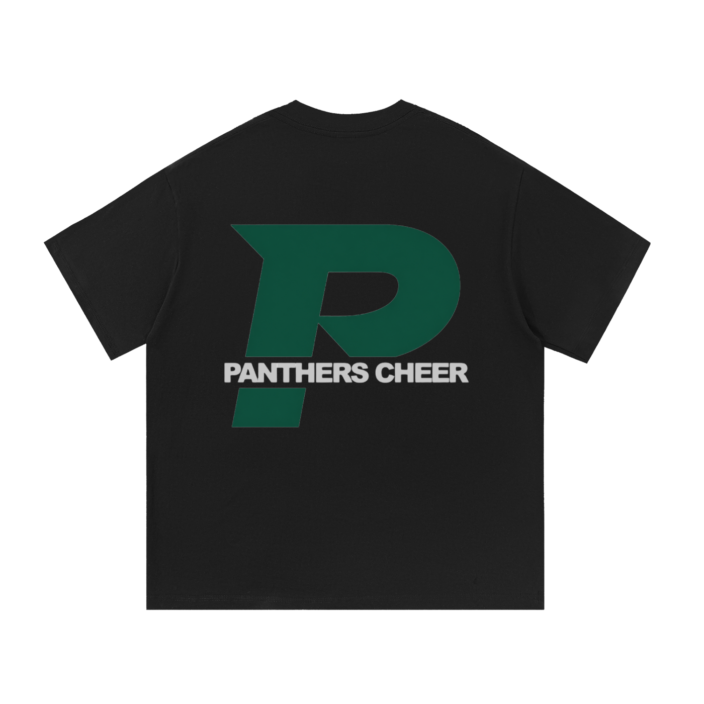 Big P Panthers Cheer