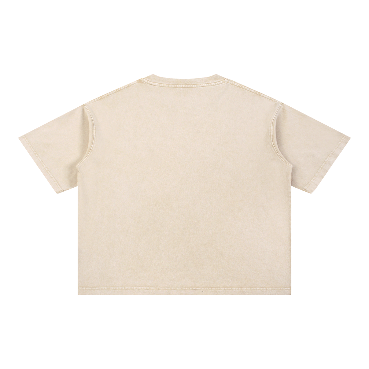 Basic 2 White Cardinal Mooney Mineral Wash Boxy Cotton T-Shirt