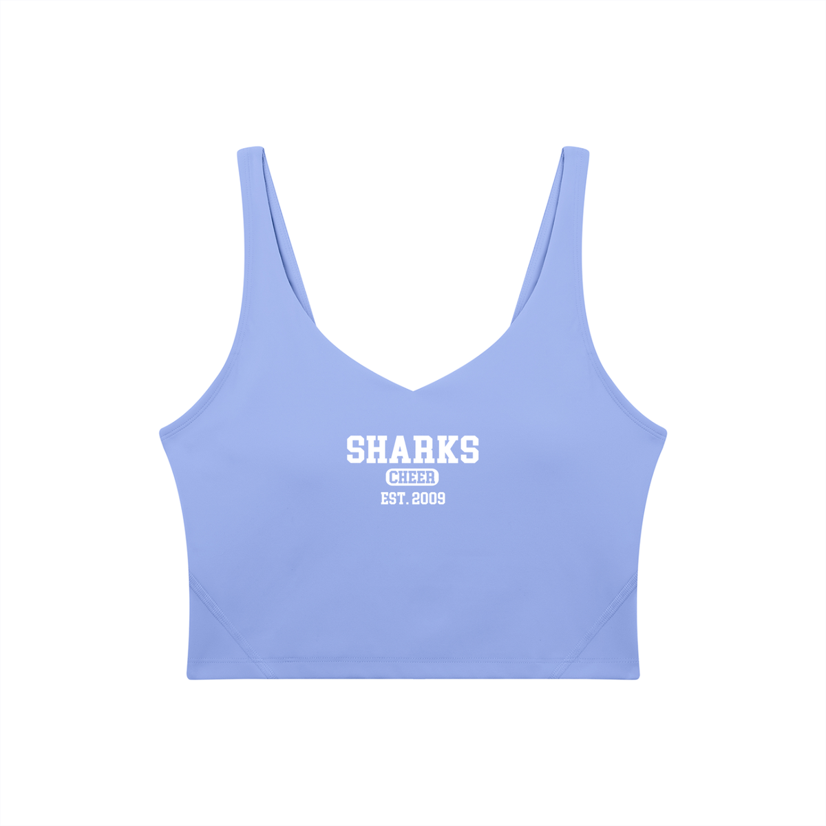 Old School Oasis Women's V-Neck Yoga Sports Bra