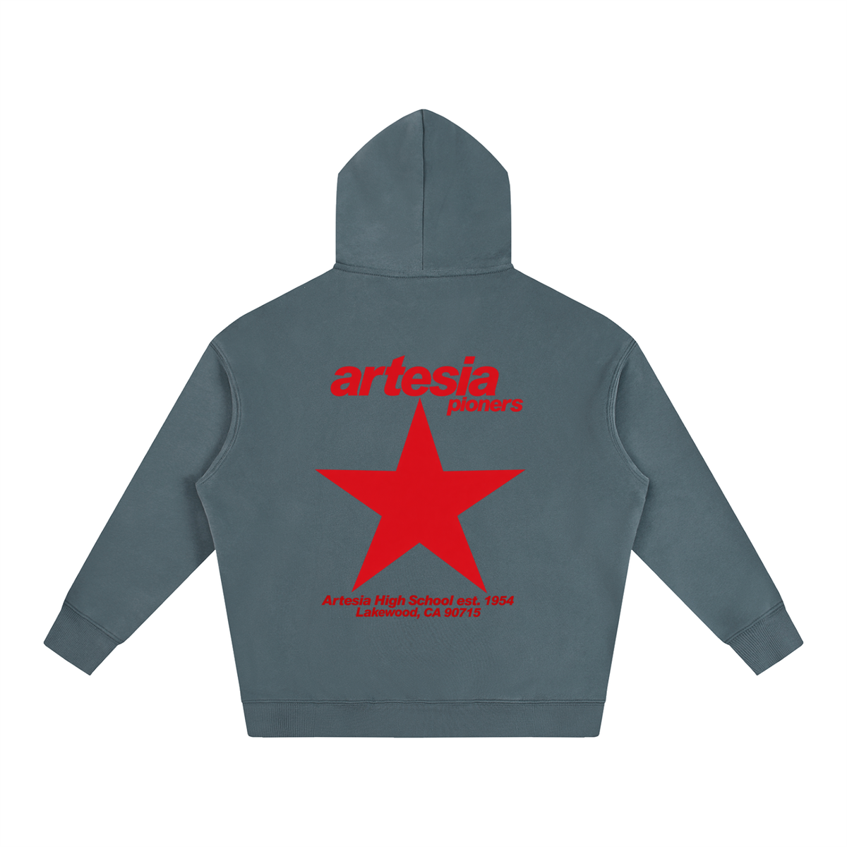 Big Star Artesia Oversize Fleeced Hoodie