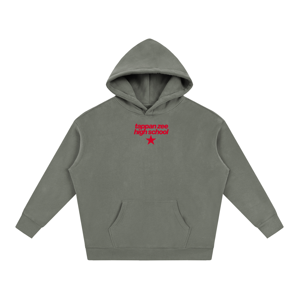 Big Star Tappan Zee Oversize Fleeced Hoodie