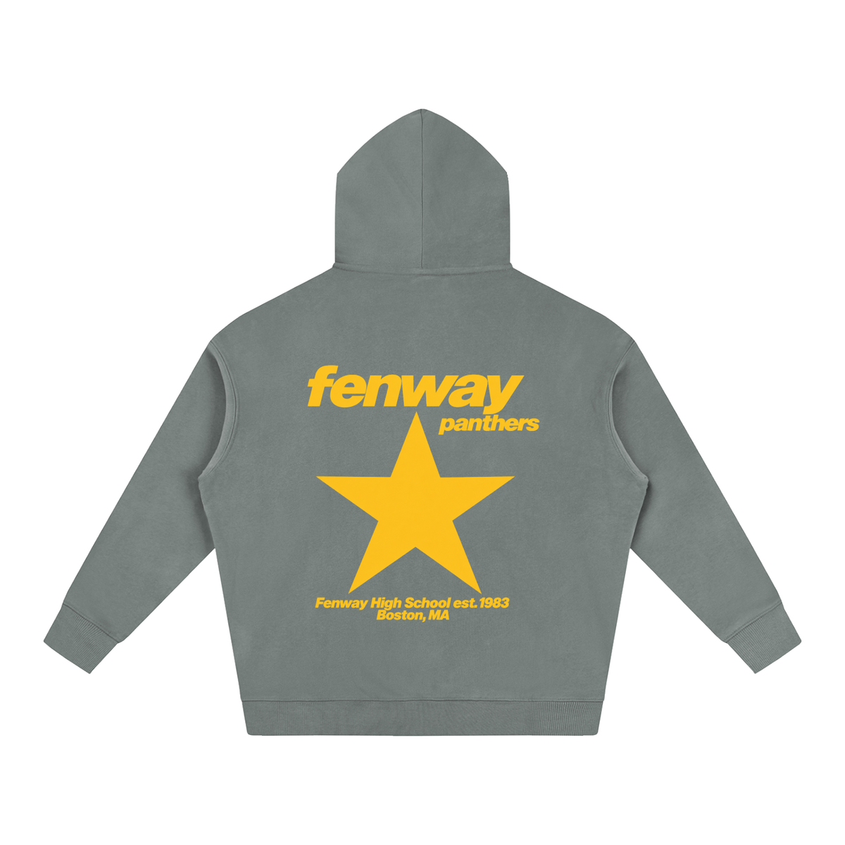 Big Star Fenway Oversize Fleeced Hoodie