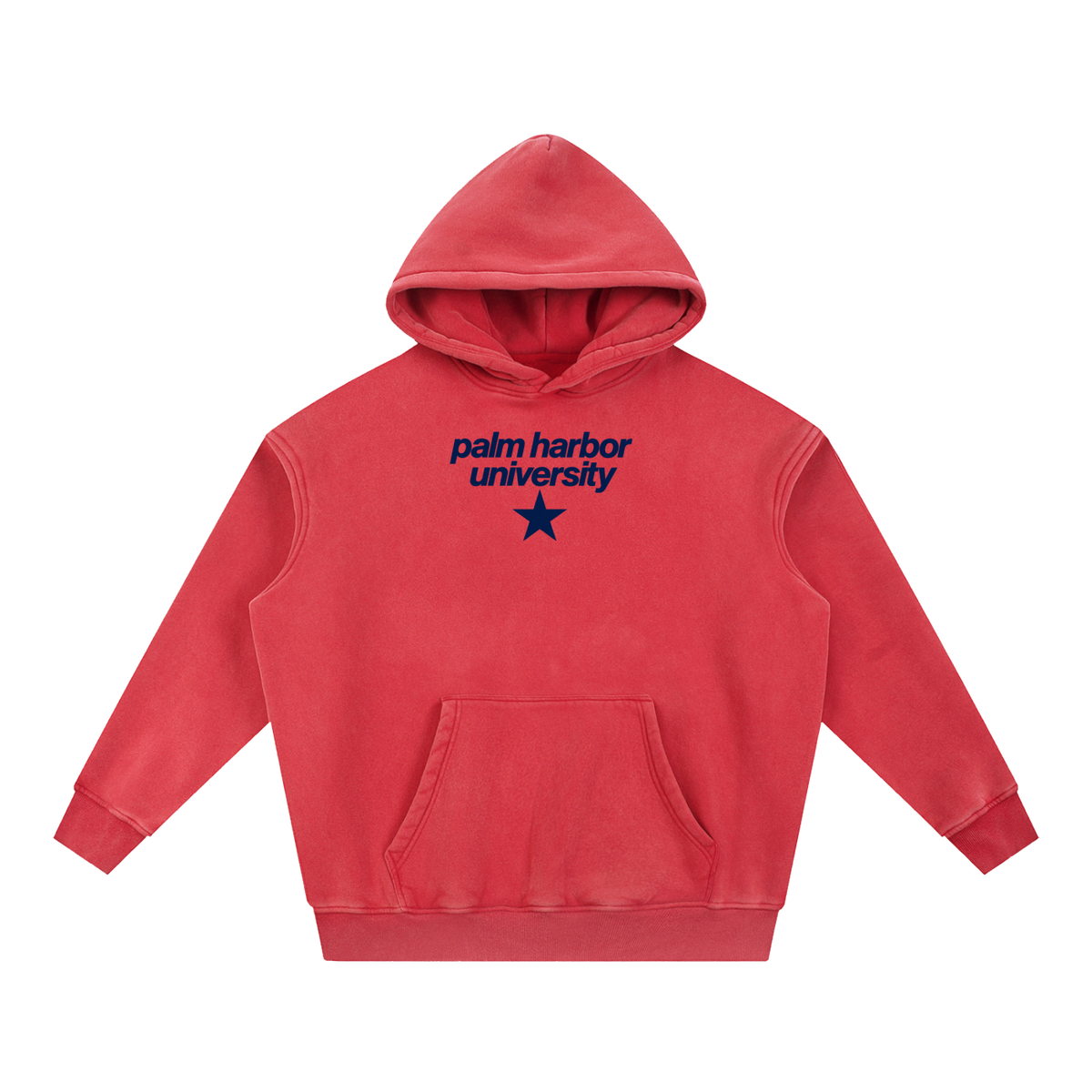 Big Star Palm Harbor Snow Wash Fleece Oversize Hoodie