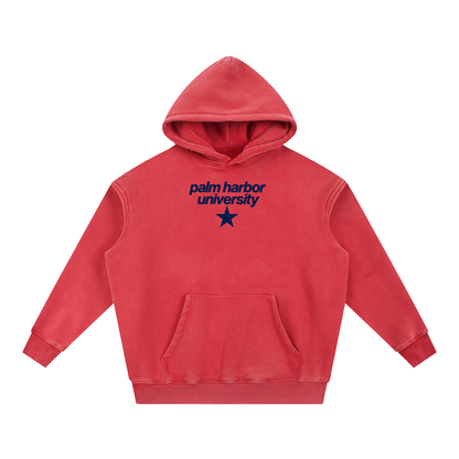 Big Star Palm Harbor Snow Wash Fleece Oversize Hoodie