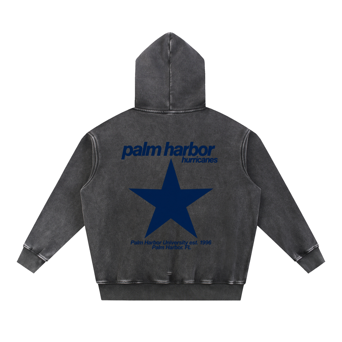 Big Star Palm Harbor Snow Wash Fleece Oversize Hoodie