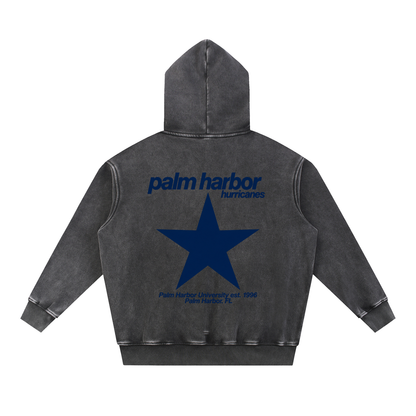 Big Star Palm Harbor Snow Wash Fleece Oversize Hoodie