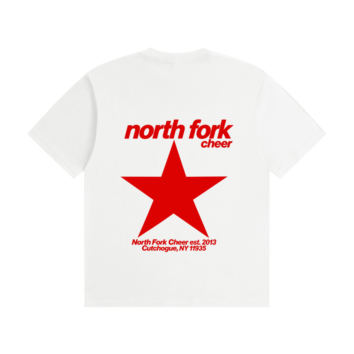 Big Star North Fork Unisex Seamless Cotton T-Shirt