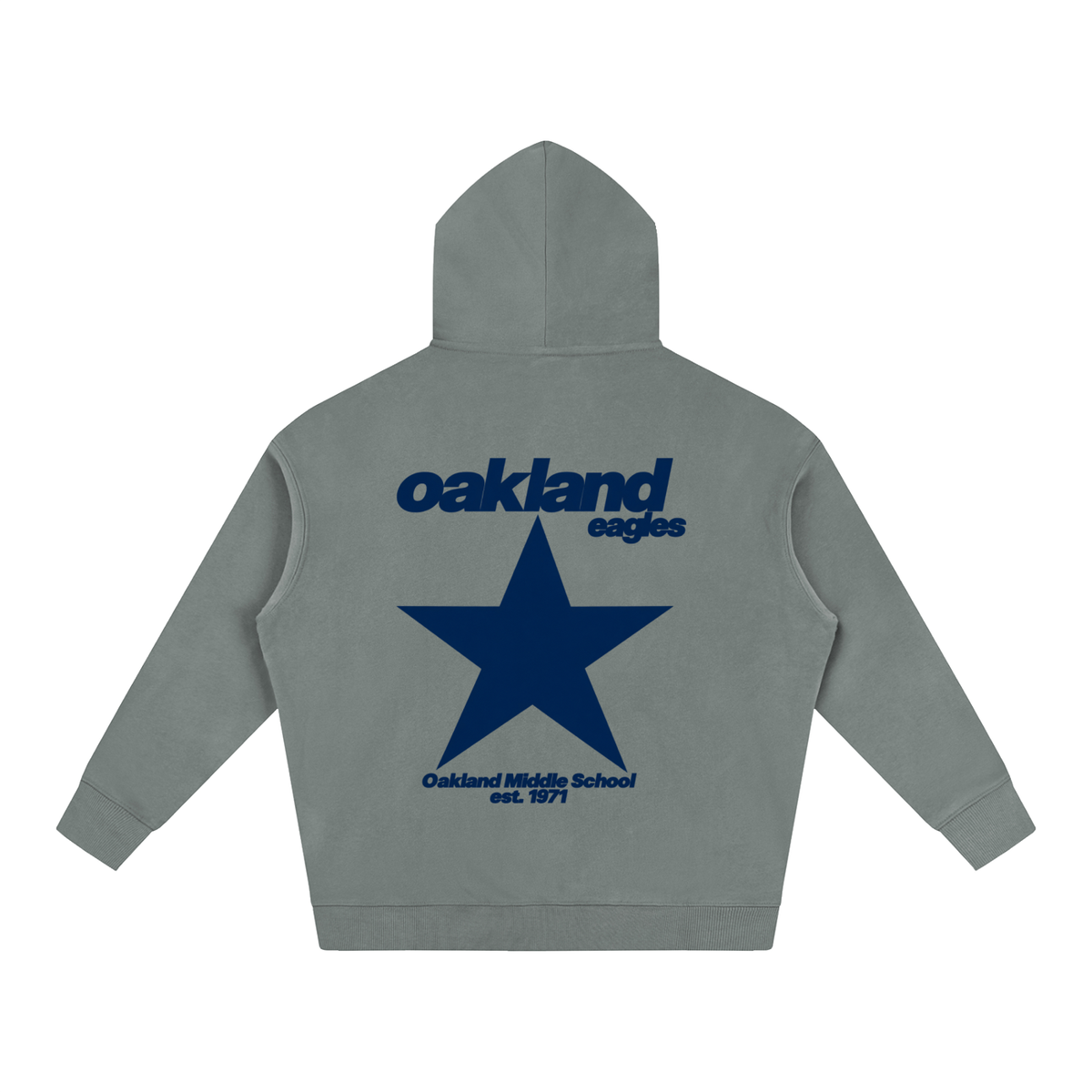 Big Star Oakland Middle Oversize Fleeced Hoodie