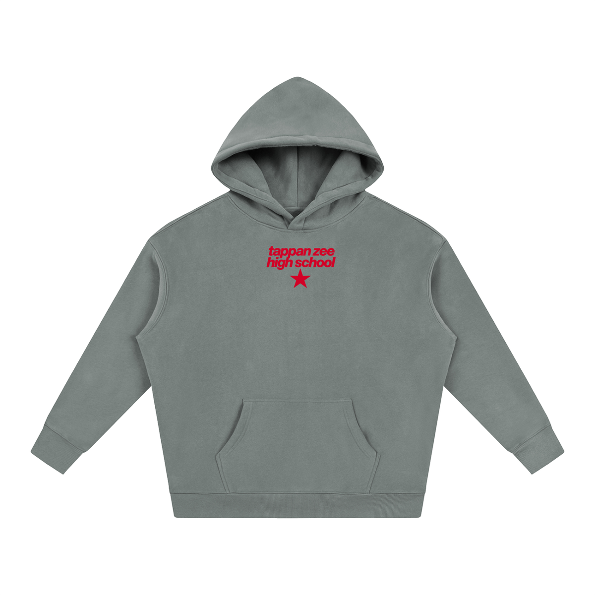 Big Star Tappan Zee Oversize Fleeced Hoodie