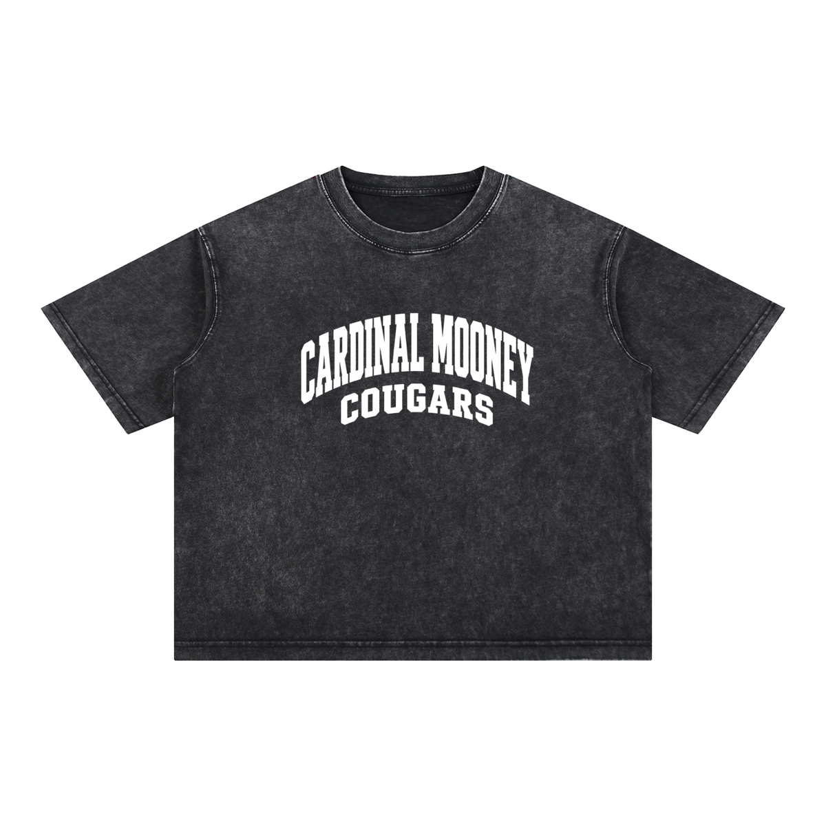 Basic 2 White Cardinal Mooney Mineral Wash Boxy Cotton T-Shirt