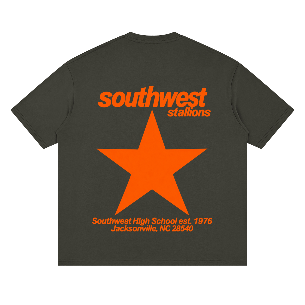 Big Star Southwest Oversized Drop Shoulder T-Shirt