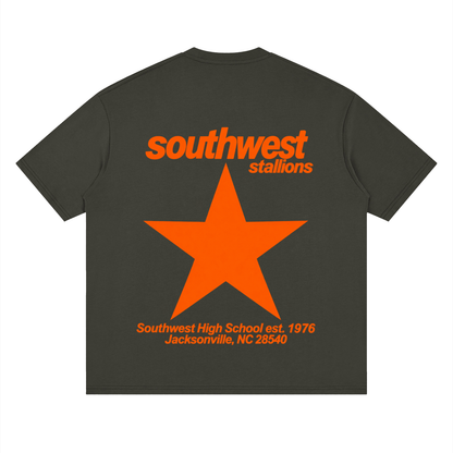 Big Star Southwest Oversized Drop Shoulder T-Shirt